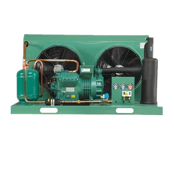 Air Cooled Compressor Condenser Unit Cold Room Refrigerator Condensing Unit for Freezer for Cold Storage Storage