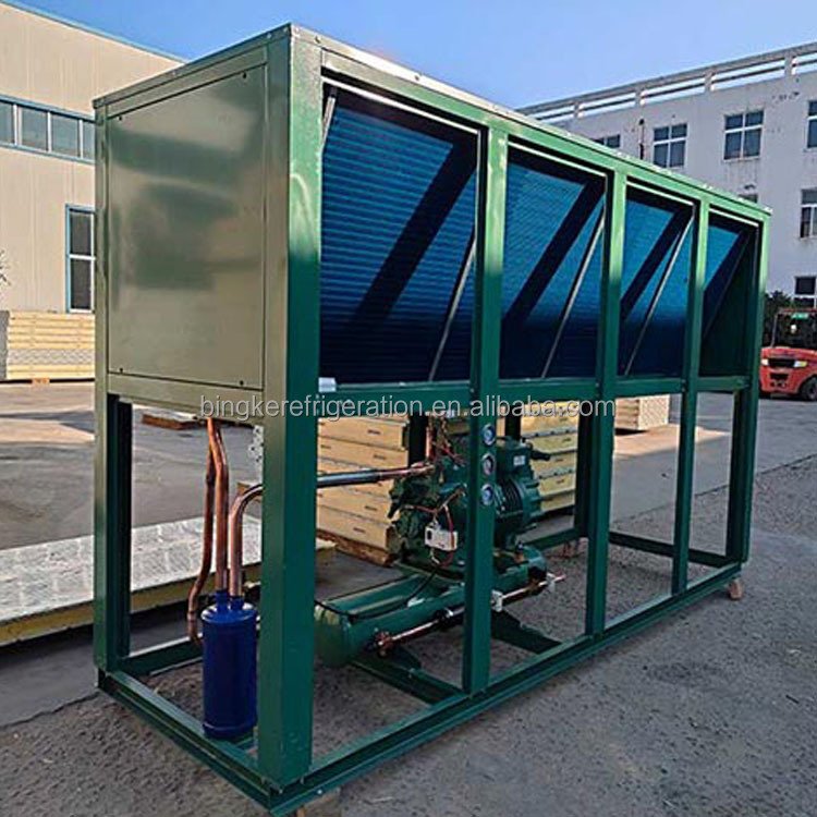 Air Cooled Frozen Refrigeration Compressor System Condensing Unit for Cold Room Refrigeration