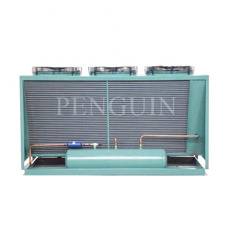 50HP Cold Room BlTZER 6F-50.2(Y) 6F-50.2 Air Cooled Box Type Refrigeration Compressor Condensing Unit for Freezing