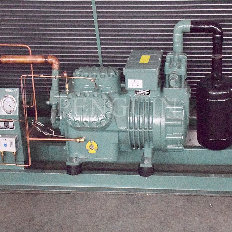 50HP Cold Room BlTZER 6F-50.2(Y) 6F-50.2 Air Cooled Box Type Refrigeration Compressor Condensing Unit for Freezing