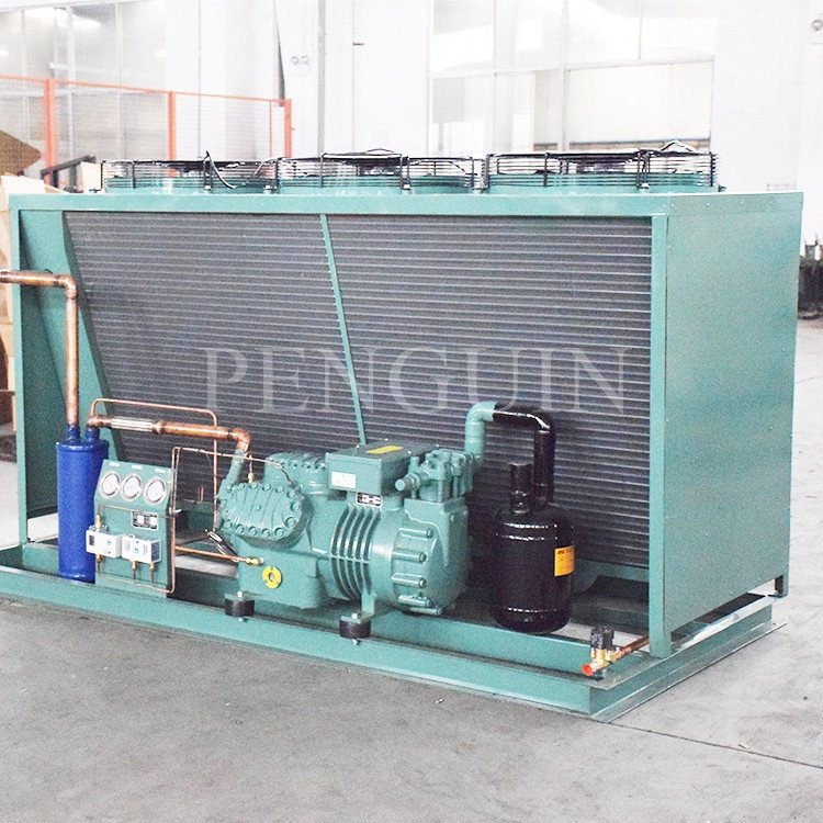 50HP Cold Room BlTZER 6F-50.2(Y) 6F-50.2 Air Cooled Box Type Refrigeration Compressor Condensing Unit for Freezing