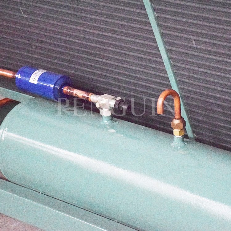 50HP Cold Room BlTZER 6F-50.2(Y) 6F-50.2 Air Cooled Box Type Refrigeration Compressor Condensing Unit for Freezing