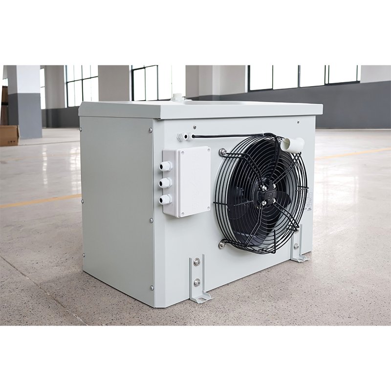 Energy Saving and Environmental protection Refrigeration Condenser Cold Room air Cooler