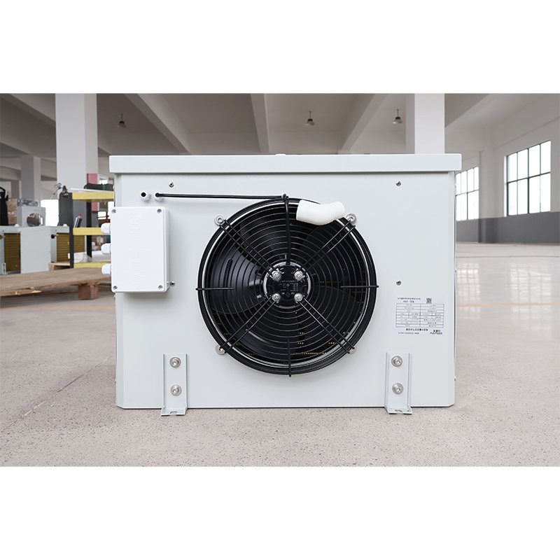 Energy Saving and Environmental protection Refrigeration Condenser Cold Room air Cooler