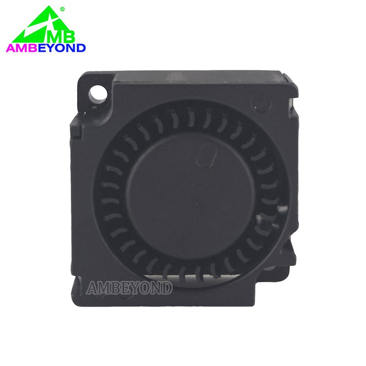 30mm DC 5V 3010 30*30*10mm Micro Blower Fan