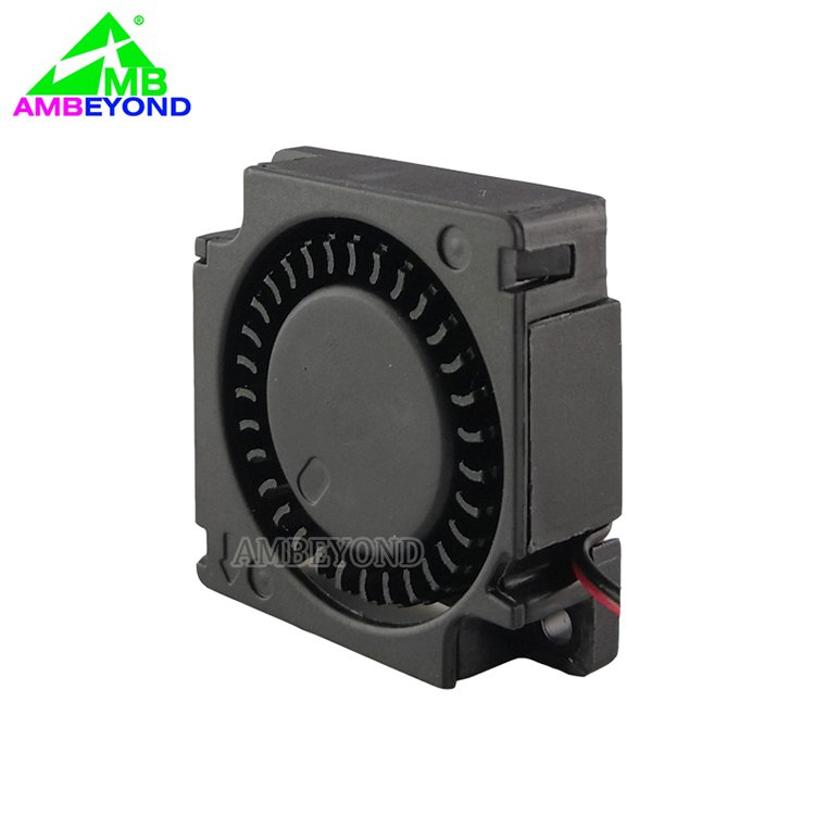 30mm DC 5V 3010 30*30*10mm Micro Blower Fan