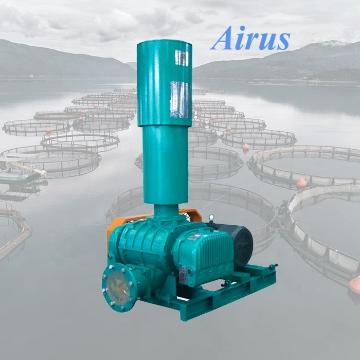 AIRUS HDSR Industrial Blower Rotary Type Blower Roots Blower and Vacuum Pump HDSR Series