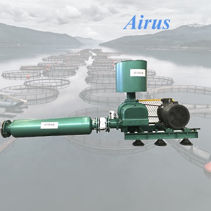 AIRUS HDSR Industrial Blower Rotary Type Blower Roots Blower and Vacuum Pump HDSR Series