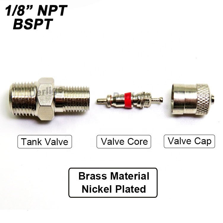 1/8-27 NPT BSPT Schrader Tank Valve Brass Material, Nickel Plated, Male Thread, Anti-Corrosion, Using for Air Compressor Tanks