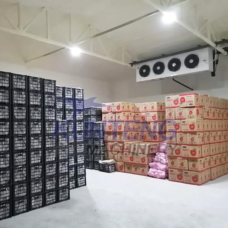 250ft Cold Storage Rooms for Preserving Vegetables Tomatoes Cold Storage Warehouse Onions Refrigeration Freezer House Price