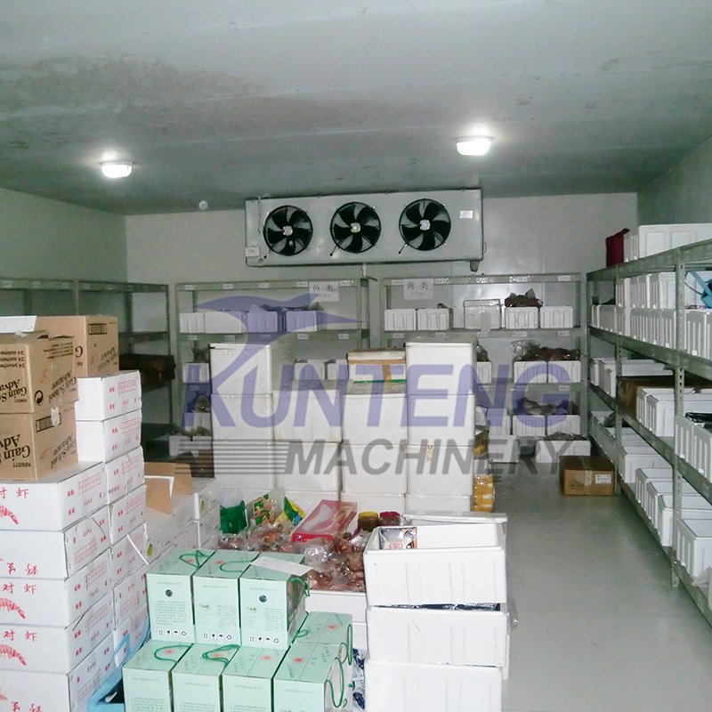 250ft Cold Storage Rooms for Preserving Vegetables Tomatoes Cold Storage Warehouse Onions Refrigeration Freezer House Price