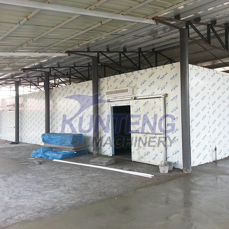 250ft Cold Storage Rooms for Preserving Vegetables Tomatoes Cold Storage Warehouse Onions Refrigeration Freezer House Price