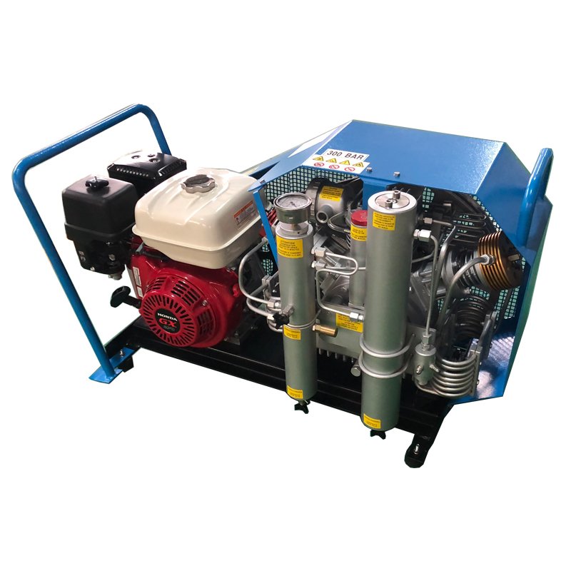 Toplong Customized High Pressure Air Compressor 60hz 3 Stage Air Compressor for Scuba Diving