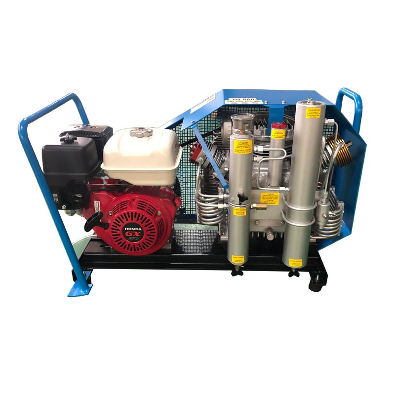 Toplong Customized High Pressure Air Compressor 60hz 3 Stage Air Compressor for Scuba Diving