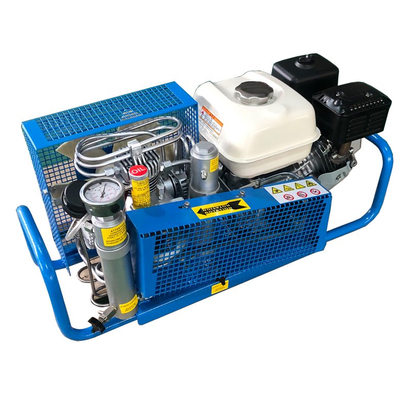Toplong Customized High Pressure Air Compressor 60hz 3 Stage Air Compressor for Scuba Diving