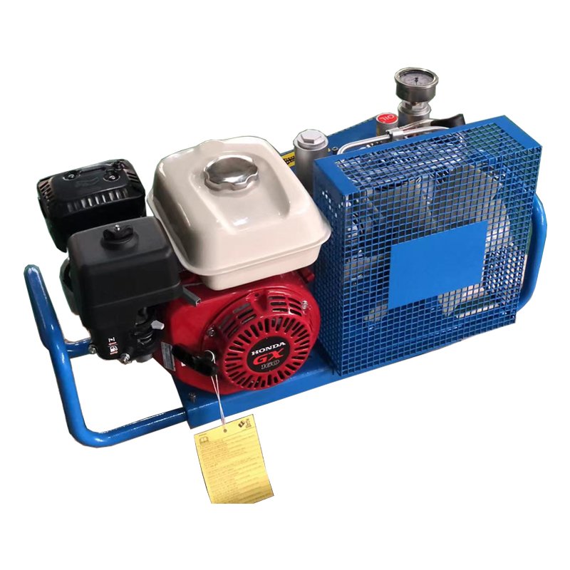 Toplong Customized High Pressure Air Compressor 60hz 3 Stage Air Compressor for Scuba Diving