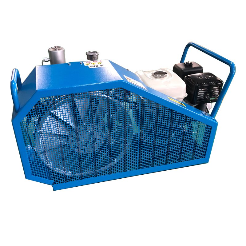 Toplong Customized High Pressure Air Compressor 60hz 3 Stage Air Compressor for Scuba Diving