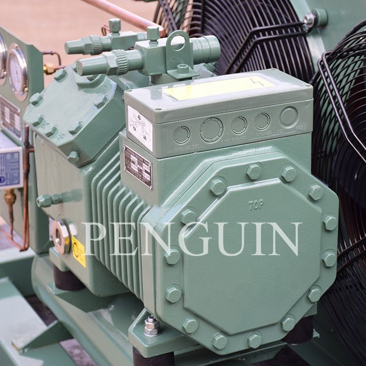50HZ 60HZ 220V 380V 440V 480V R404A R22 5HP Compressor Condensing Unit for Cold Room Refrigeration Unit