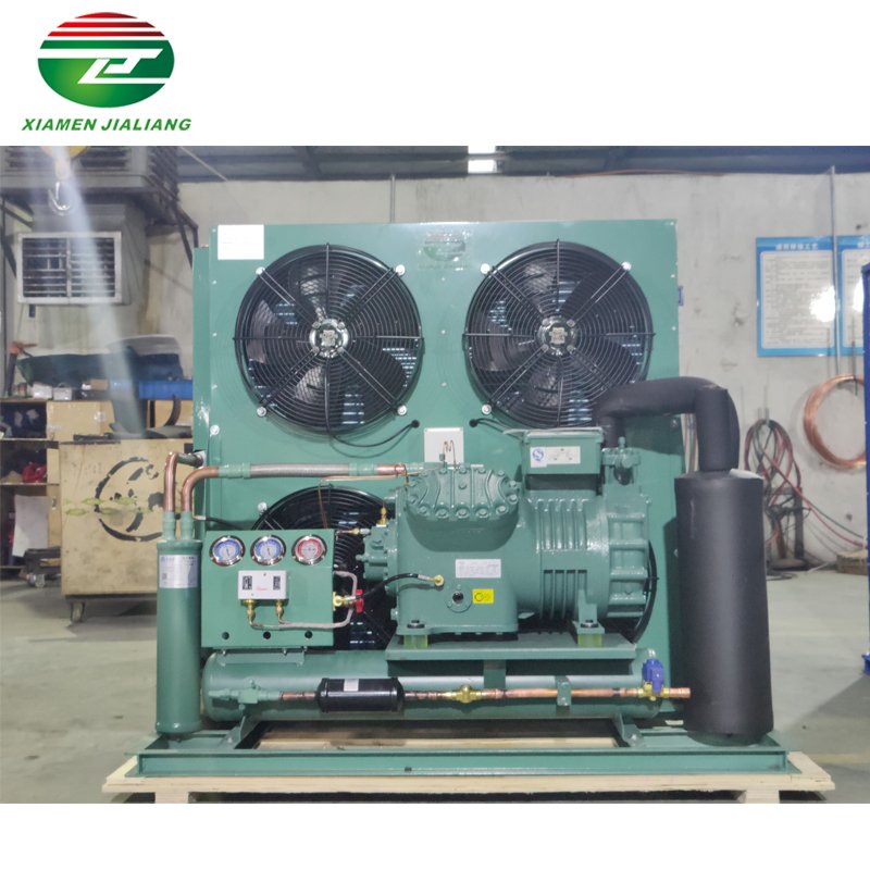 5hp/8hp/10hp/12hp/15hp/20hp Walk in Cooler Refrigeration Unit Cold Room Air Cooled Unit Condensation for Cold Storage