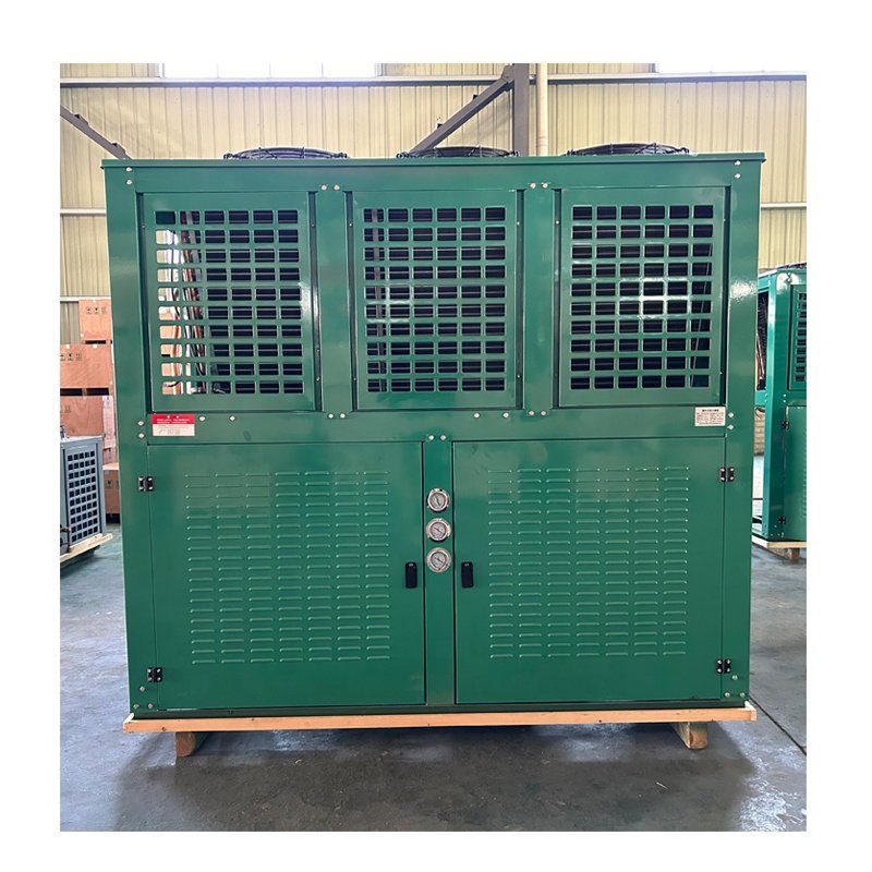 Professional Technology 25hp 30hp Air-cooled Condenser Unit Evaporative R404a Condensing Unit Refrigeration Cold Storage Feezer