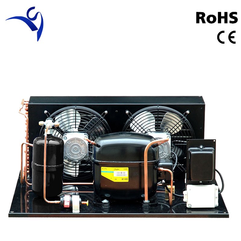 SECOP Hermetic Compressor Kitchen Refrigerator air Cooled Refrigeration Condensing Unit