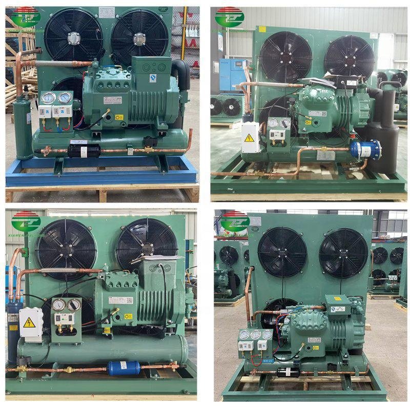 Long Service Life Condensing Units air Cooled Condensing Unit for Fish Commercial Condensing Unit