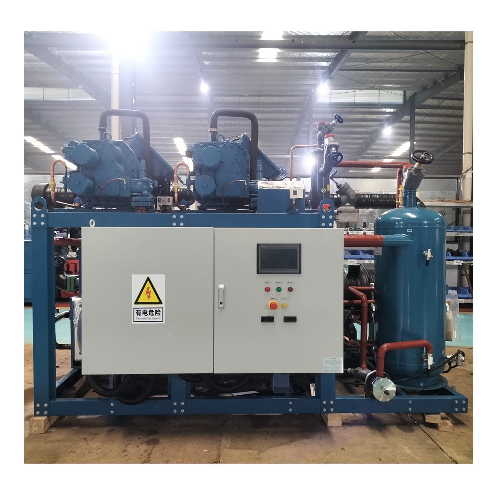 Condensing Unit Fast Refrigeration Screw Refrigeration Condensing Units for Cold Storage Project
