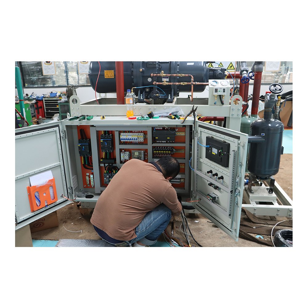 Condensing Unit Fast Refrigeration Screw Refrigeration Condensing Units for Cold Storage Project