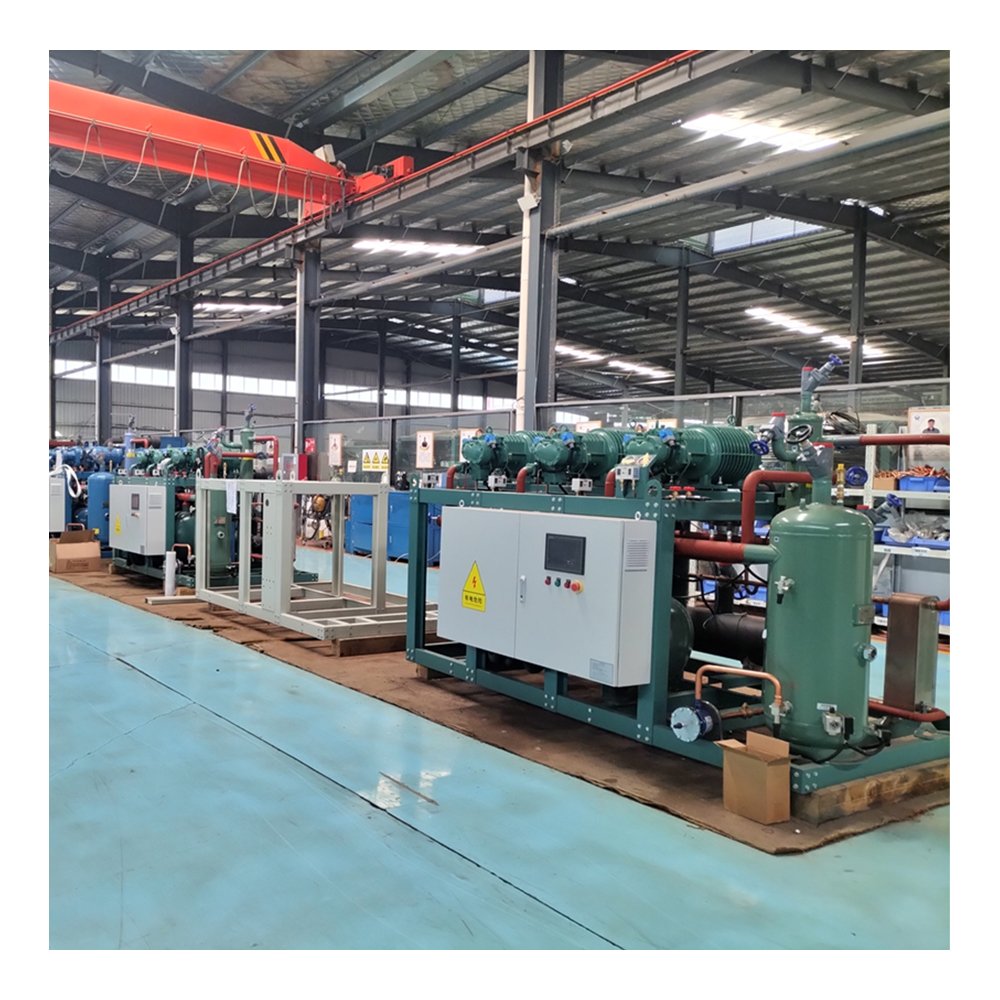 Condensing Unit Fast Refrigeration Screw Refrigeration Condensing Units for Cold Storage Project