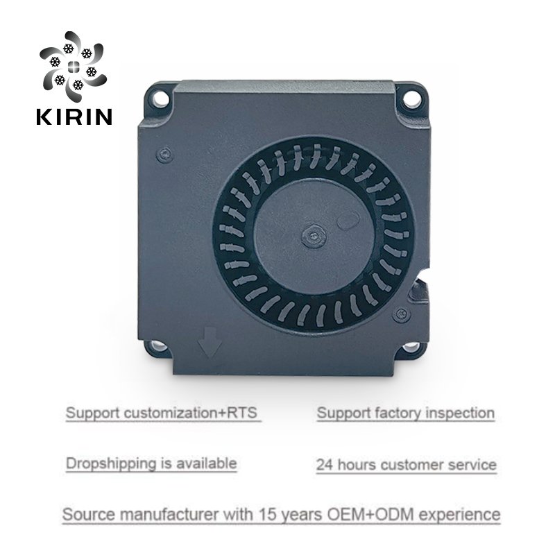 4010 5V 2PIN Square Blower Fan Side Outlet 5000-8000 RPM Speed for DC Voltage 12V/24V with Durable Plastic Blades and Bearing