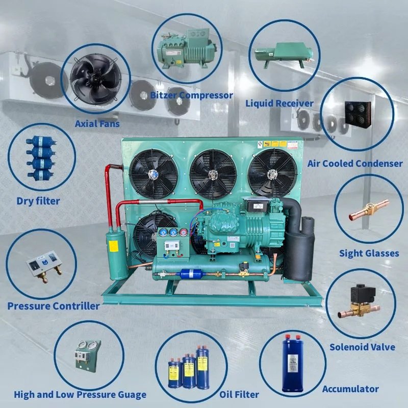 5hp 6hp 10hp 15hp 20hp Air Cooled Refrigeration Unit With B.itzer Compressor Condensing Units for Freezer Cold Room