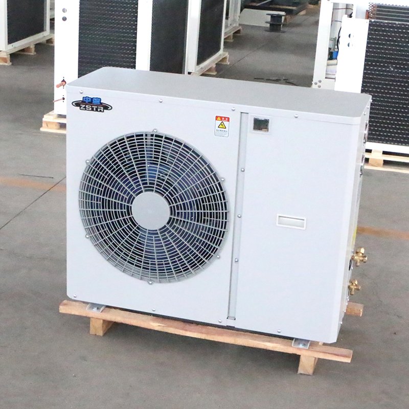 Mini Scroll Compressor Condensing Units with Walk-In Freezer