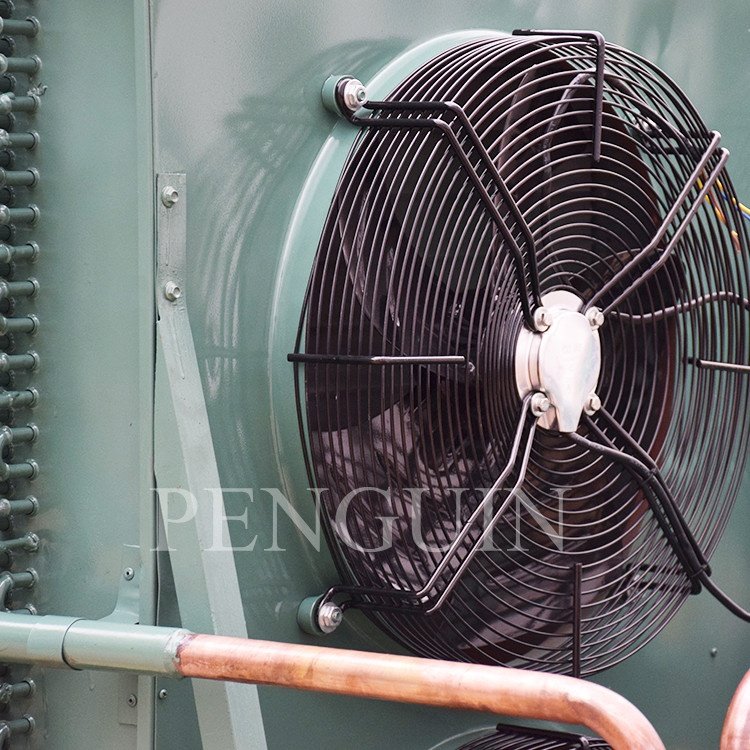 Germany Air Cooled 2 Stage 30HP Compressor Condensing Unit