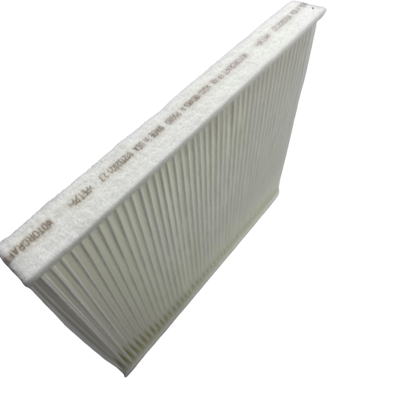 AG13-18D483-A Manufacturers High Performance Car AC Air Filters for ford raptor Escape everest Transit Cabin air Filter