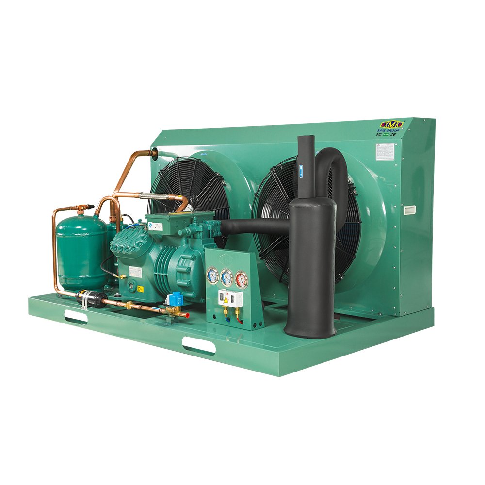 6HP 4CES-6Y Cold Room Blast Chiller Condensing Unit With Original Bitzer China Air-Cooled Semi-hermetic Compressor R290 380V -25