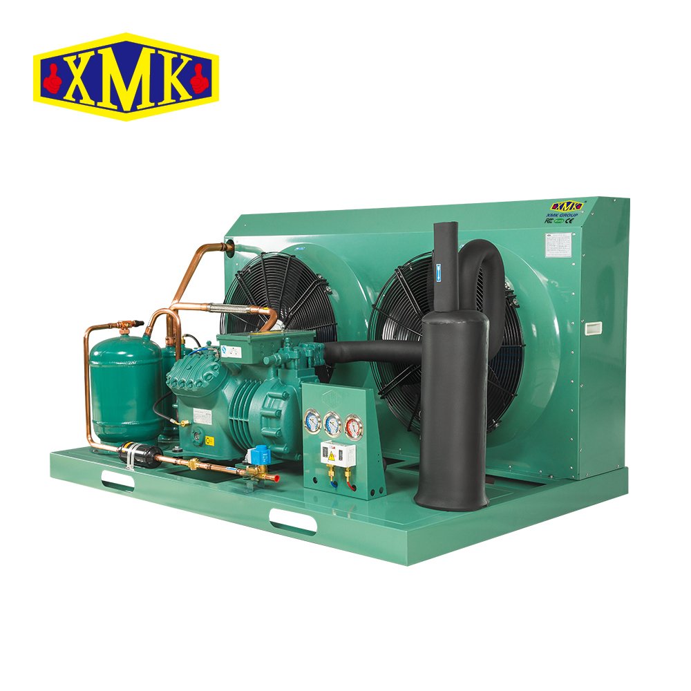 6HP 4CES-6Y Cold Room Blast Chiller Condensing Unit With Original Bitzer China Air-Cooled Semi-hermetic Compressor R290 380V -25