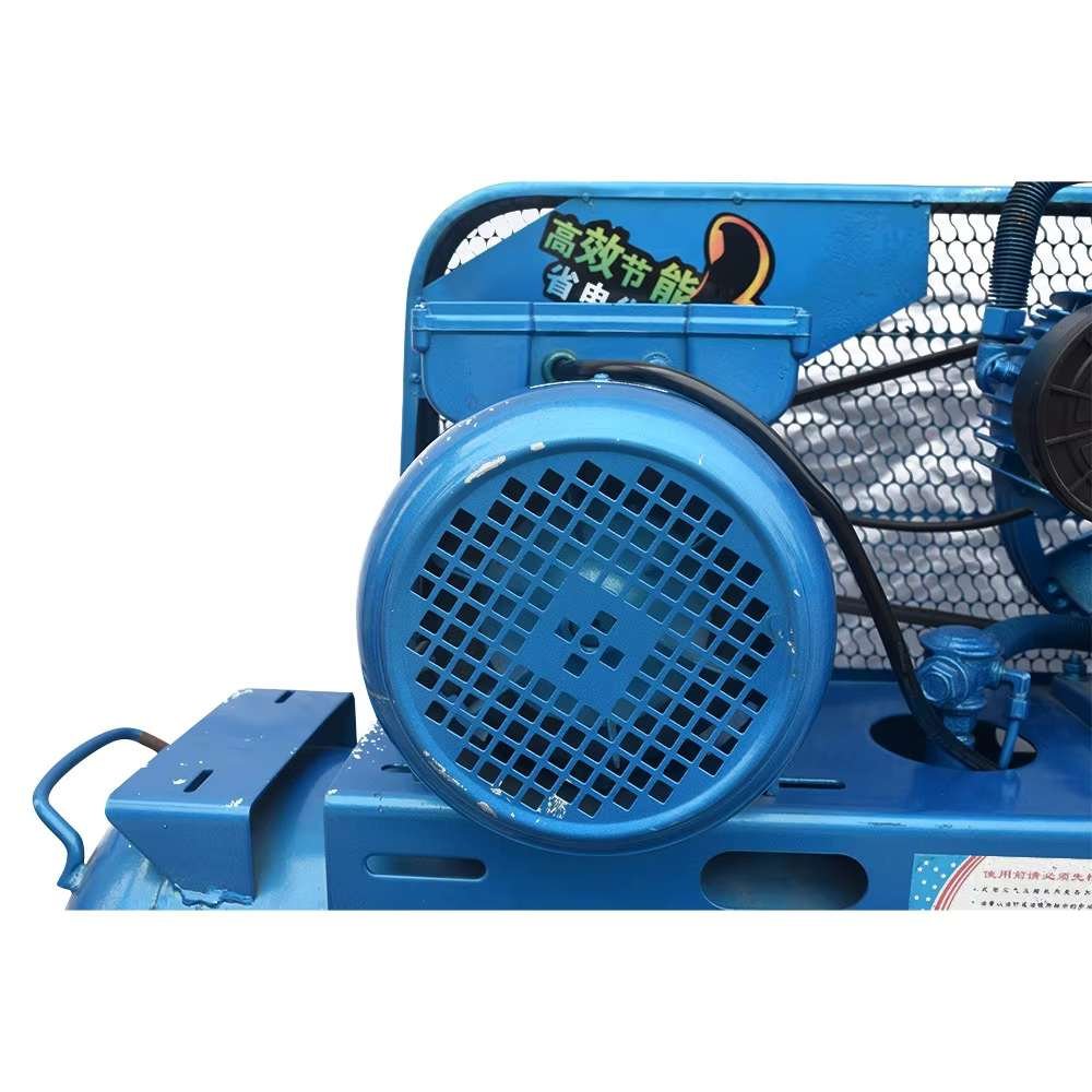 Piston Belt Driven Larissa Brand Air Compressor New 2.2KW 5.5 HP 80L 100L 200L 500L Technology Portable Air Cooling 1.5HP 1.1KW