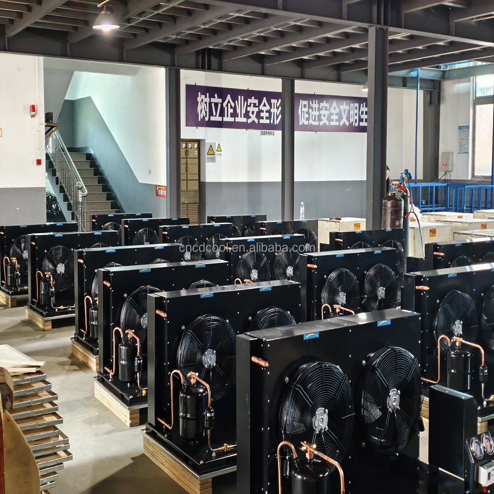 Chenda Factory Condenser Cold Room Compressor Condensing Unit Cold Storage Machinery for Cold Room Storage