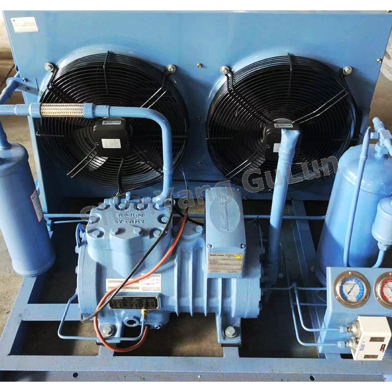 5HP New Air-Cooled Piston Refrigeration Unit AP2LF005 Low Temperature Freezer Cooling R22 Evaporator Condenser