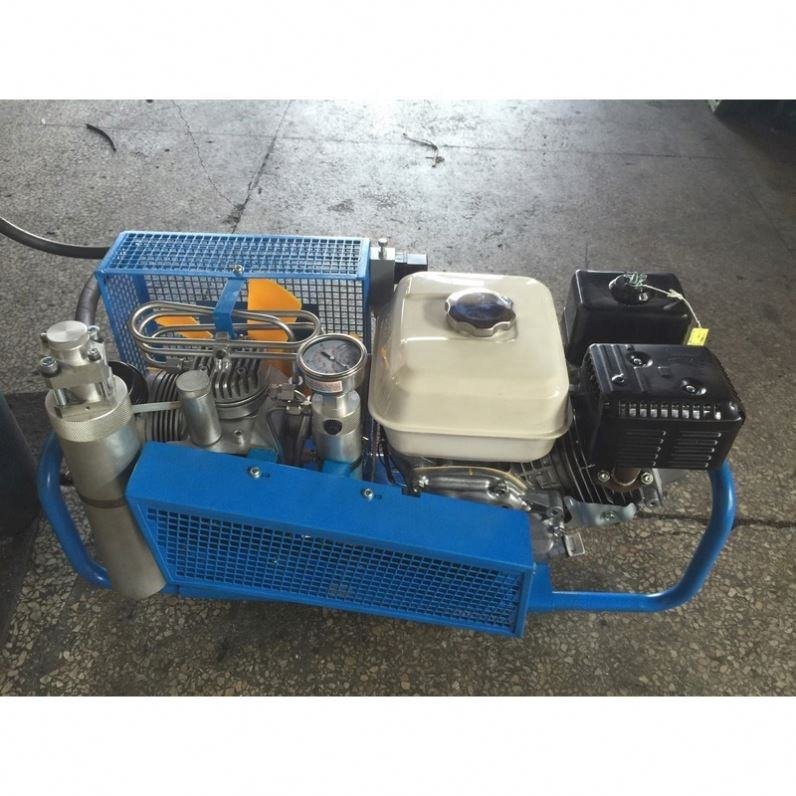 Gold Factory Supplier Reasonable Price Mini Scuba Diving Portable Air Compressor