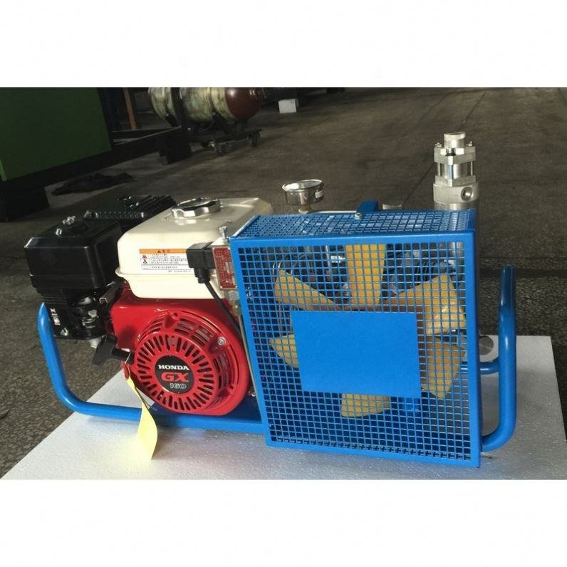 Gold Factory Supplier Reasonable Price Mini Scuba Diving Portable Air Compressor