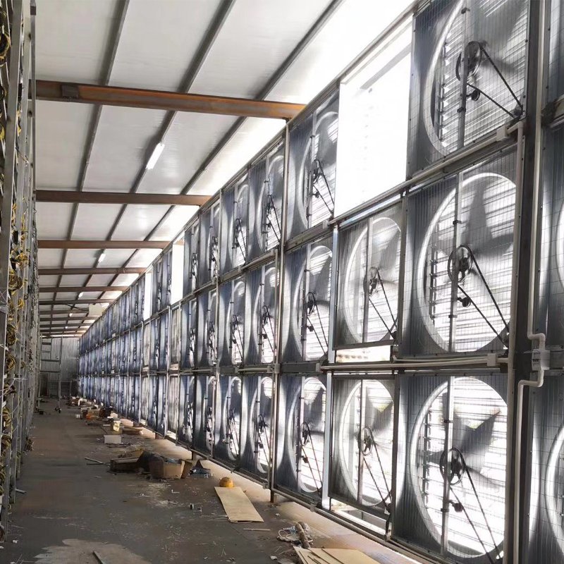 LONGWELL Large Wall Mounted Industrial Greenhouse Factory Ventilation Exhaust Fan 48inch 50inch 60inch for Poultry , Pig House