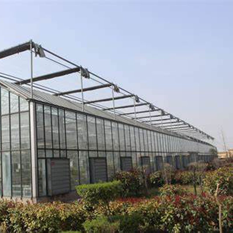 LONGWELL Large Wall Mounted Industrial Greenhouse Factory Ventilation Exhaust Fan 48inch 50inch 60inch for Poultry , Pig House