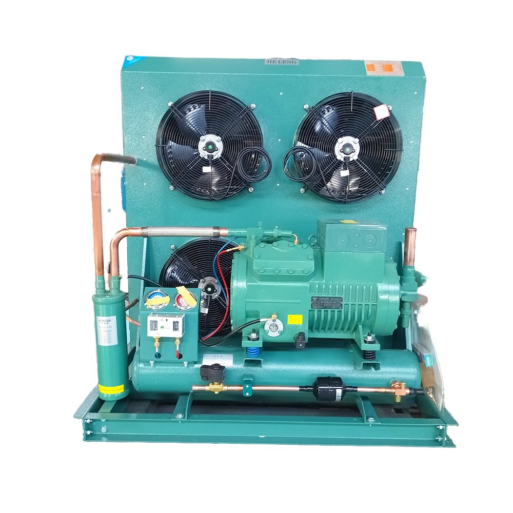 New Bitzer Compressor Energy Saving Automatic Storage Equipment for Fruits Vegetables Condensing Units for Cold Room Restaurants