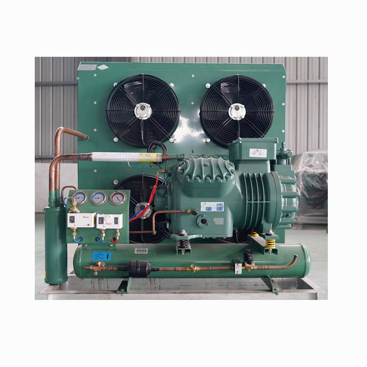 Aquatic Products and Seafood 30hp Bitzer Compressor 5hp Cold Room Condensing Unit