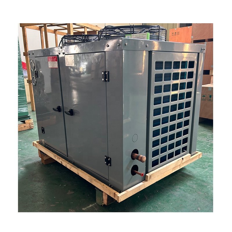 3hp 4hp 5hp 6hp Integrated Top air Outlet Cold Storage Refrigeration Compressor Unit Condensing Unit for Cold Room Cold Storage