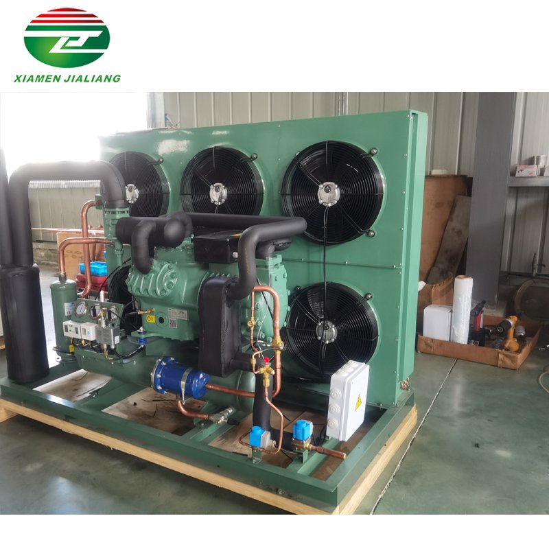 High Performance Two Stage Bitzer Compressor Air Cooled Condensing Unit for Cold Room Blast Freezer