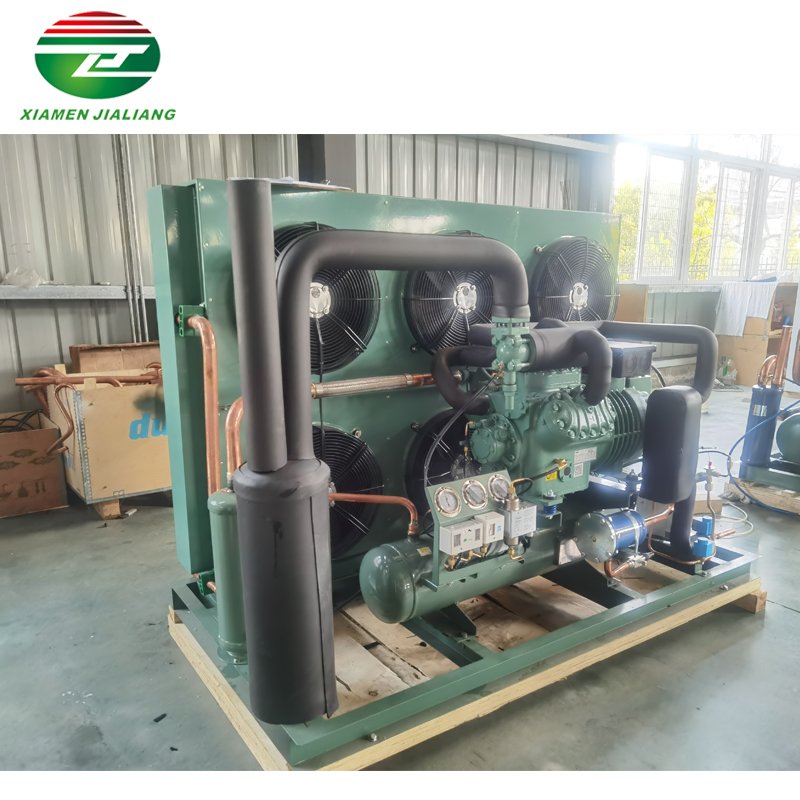 High Performance Two Stage Bitzer Compressor Air Cooled Condensing Unit for Cold Room Blast Freezer