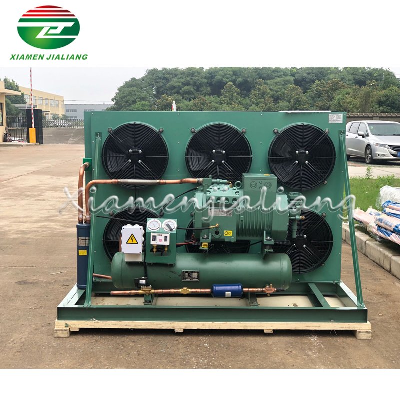 High Performance Two Stage Bitzer Compressor Air Cooled Condensing Unit for Cold Room Blast Freezer