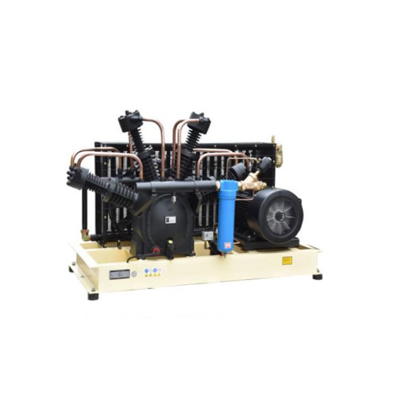 China Industrial Wholesale Hot Selling Portable Machine Ailida 40bar Piston Air Paint Compressors